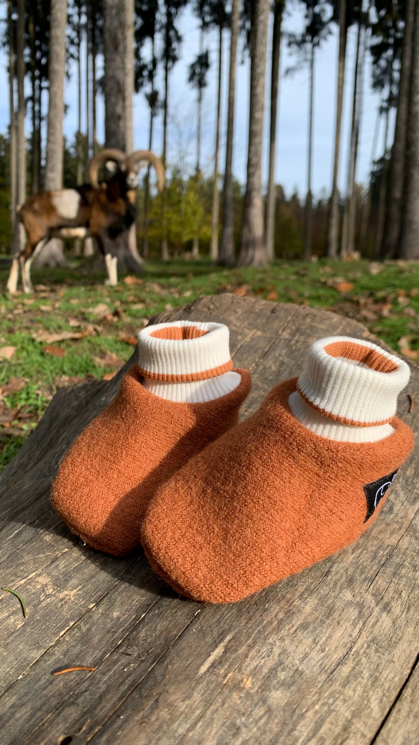 Walkpuschen