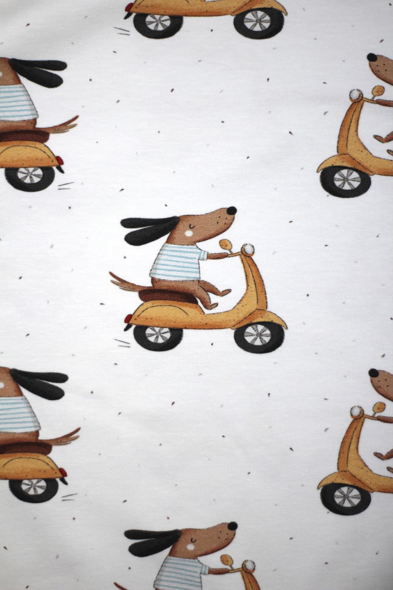 Bio Jersey - Rudi Roller