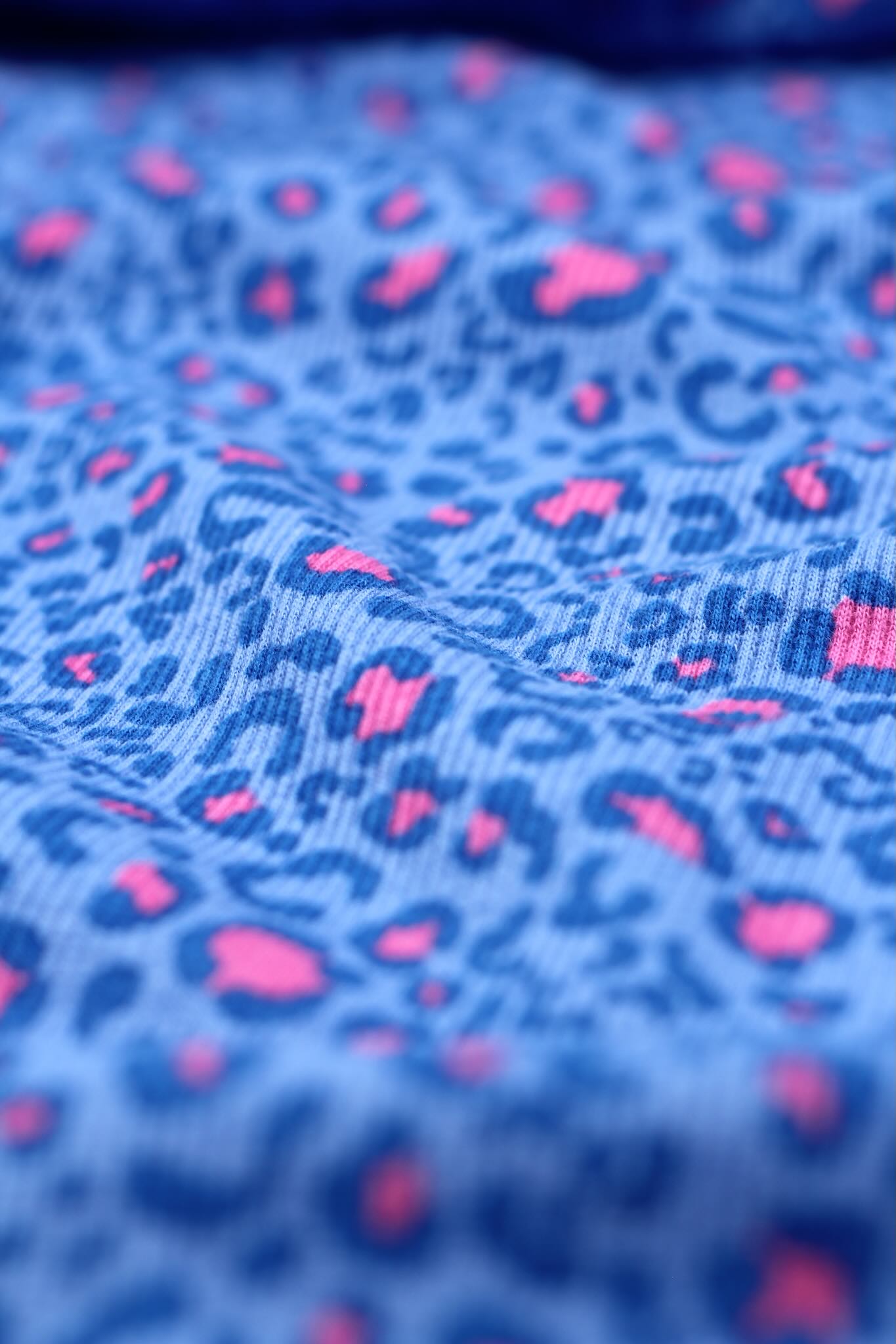 Rib Jersey - Leo Cobalt