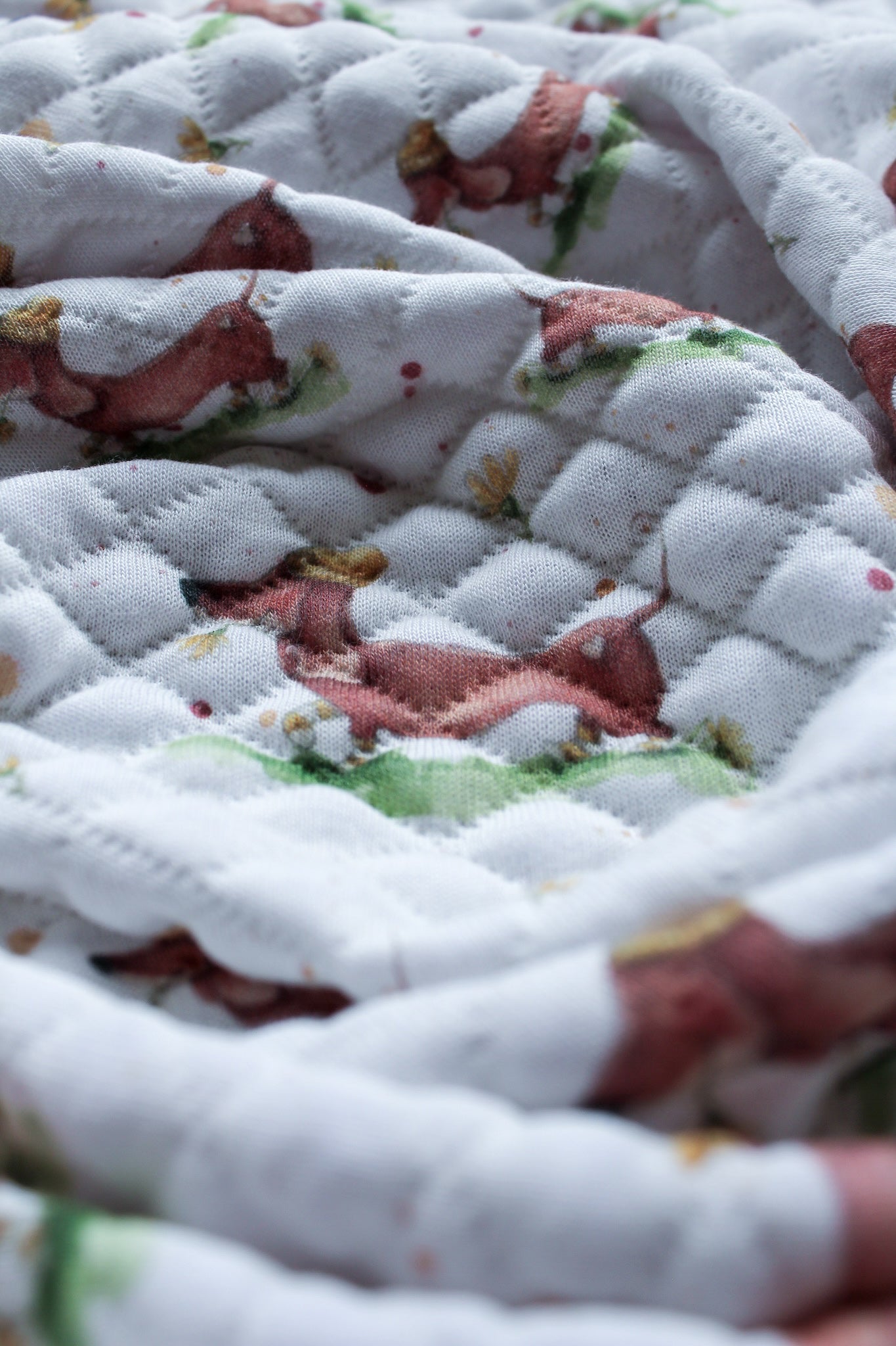 Bio Stepp Wursthund 🐾