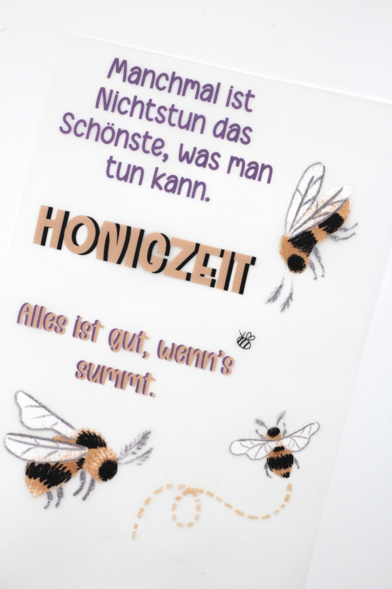 Bügelbildbogen Erwin