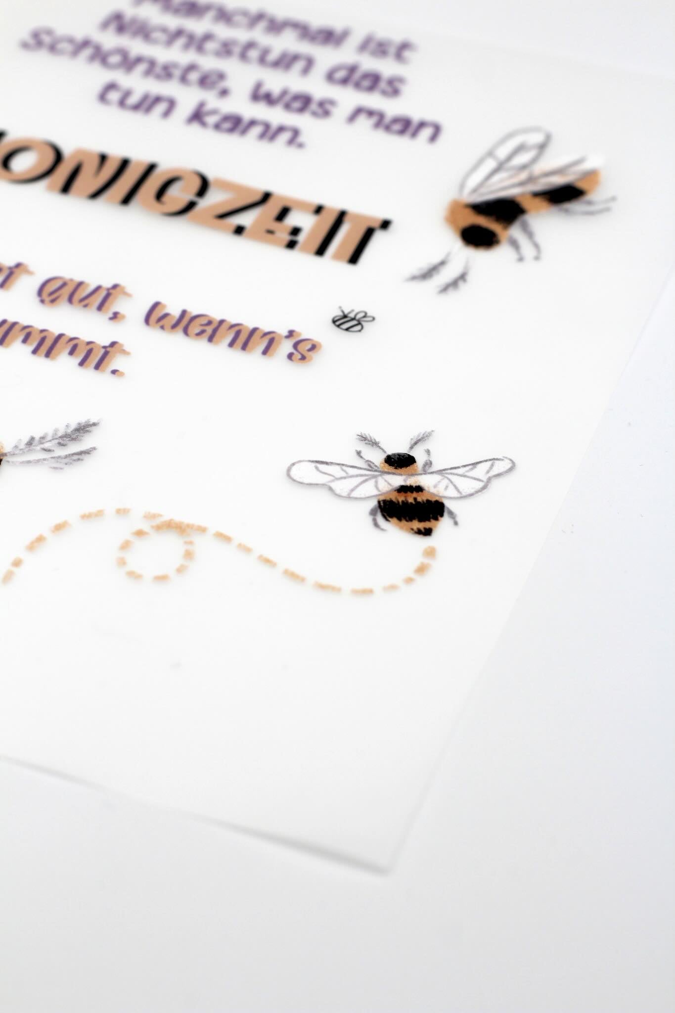 Bügelbildbogen Erwin