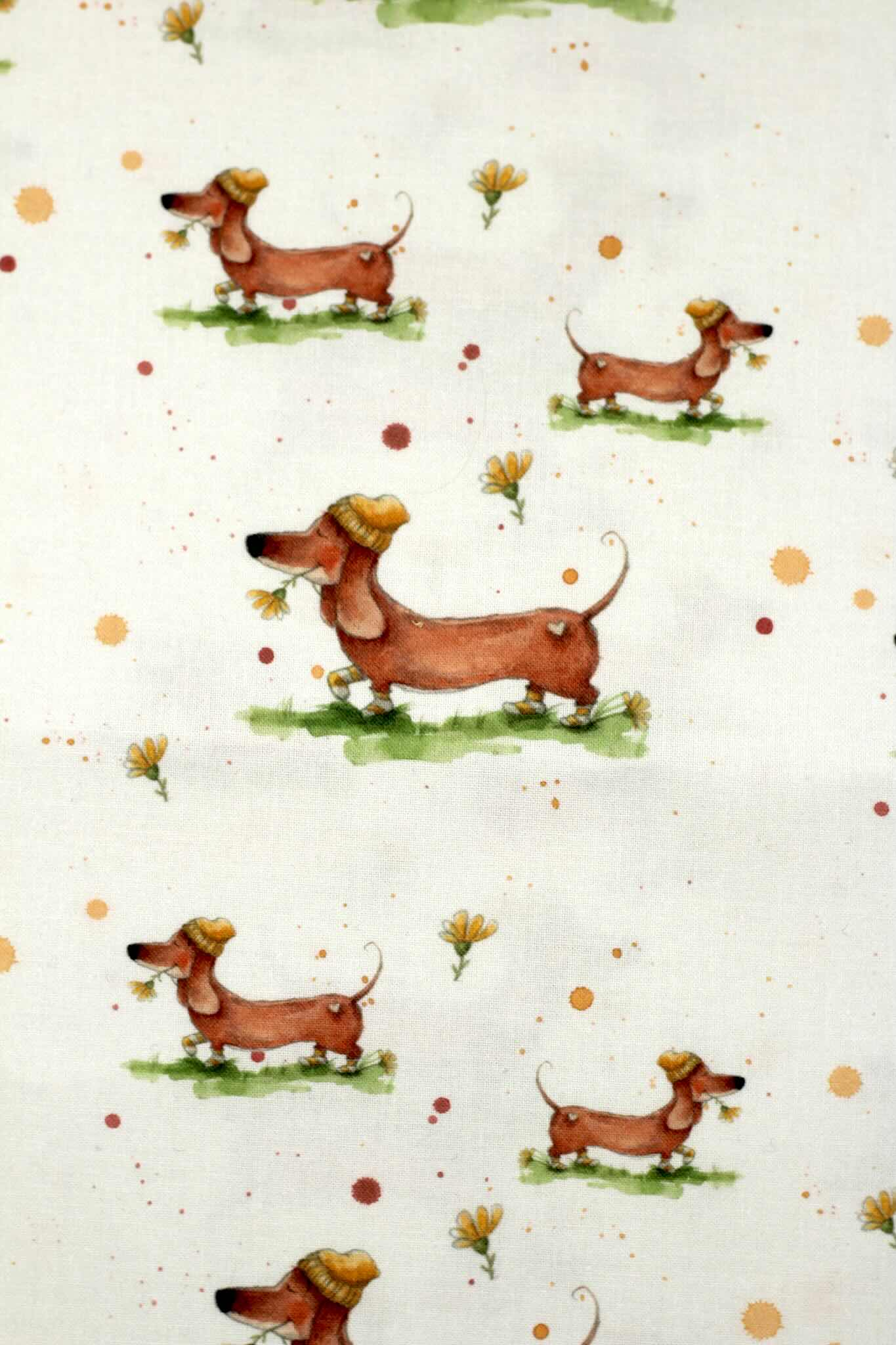 Baumwolle Canvas Light