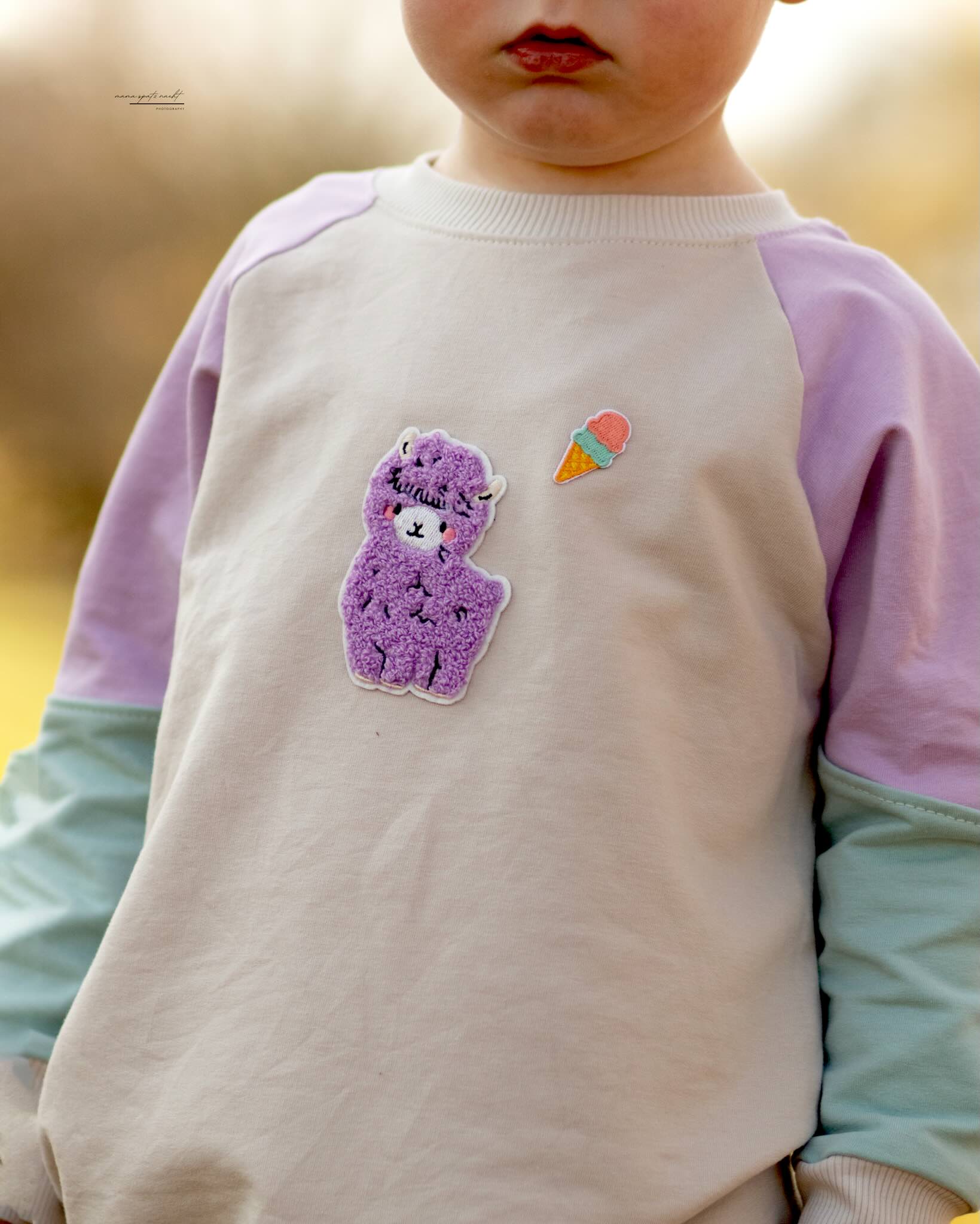 Chenille Patch - No Name Lama