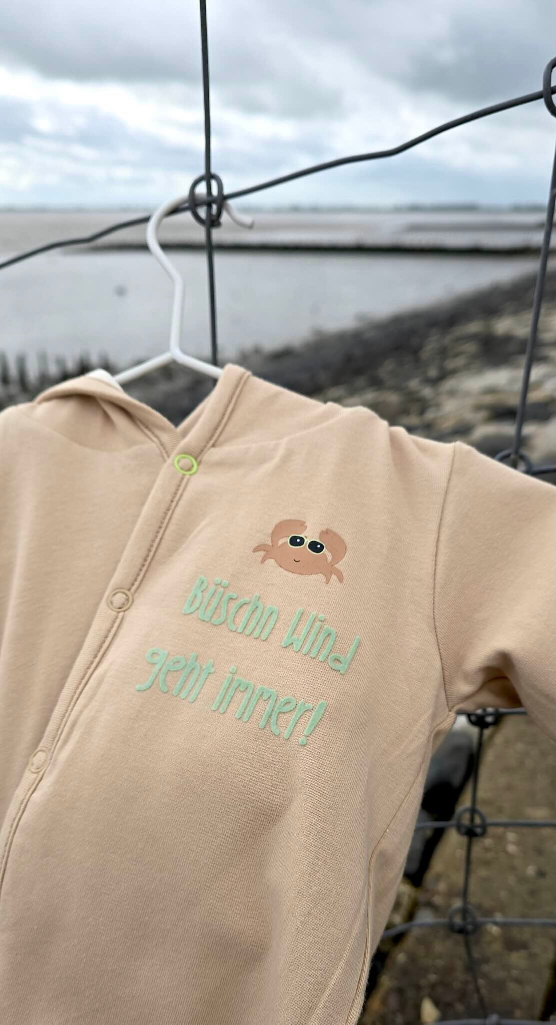 Flock Patch - Büschn Wind geht immer!