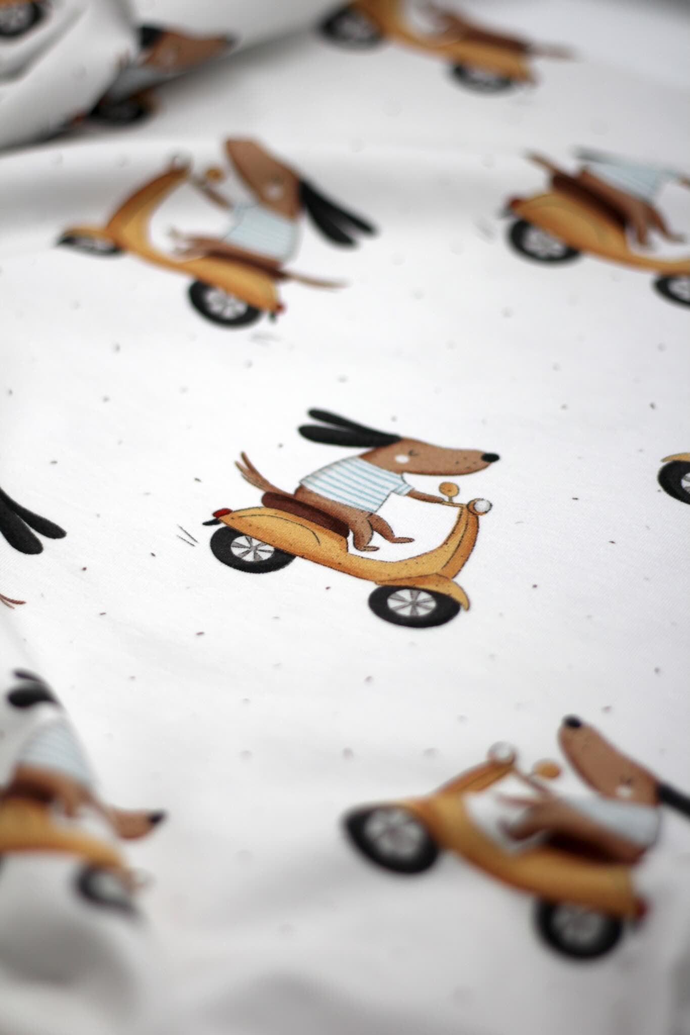 Bio Jersey - Rudi Roller