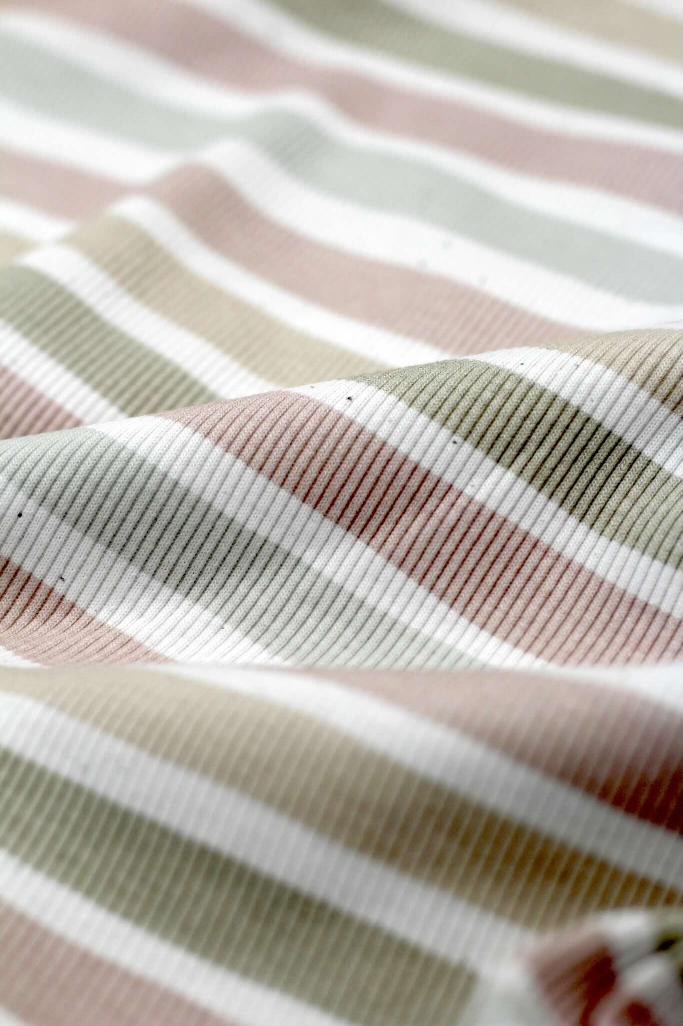 Bio Rib-Jersey - Pastell Streifen
