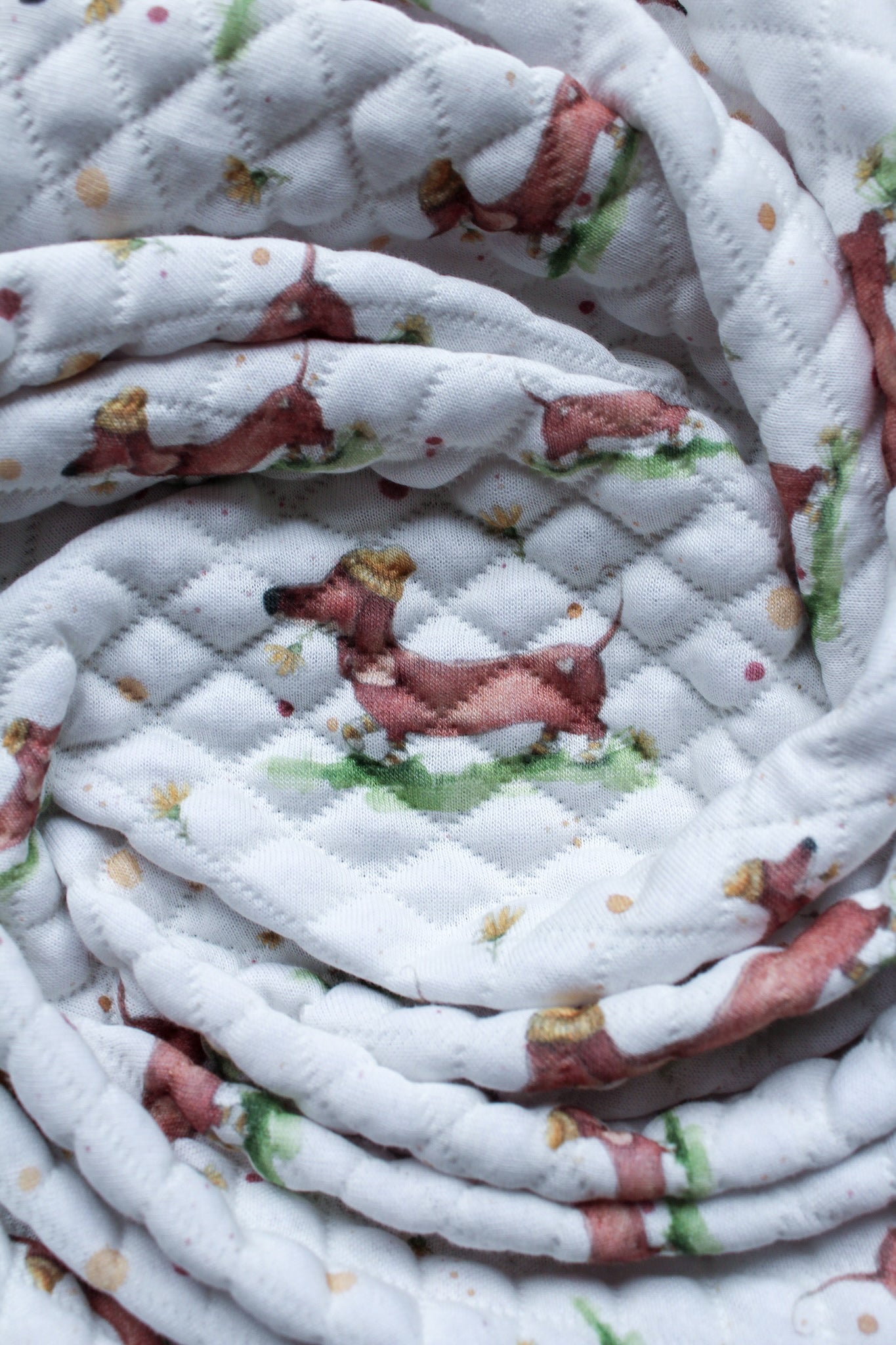 Bio Stepp Wursthund 🐾