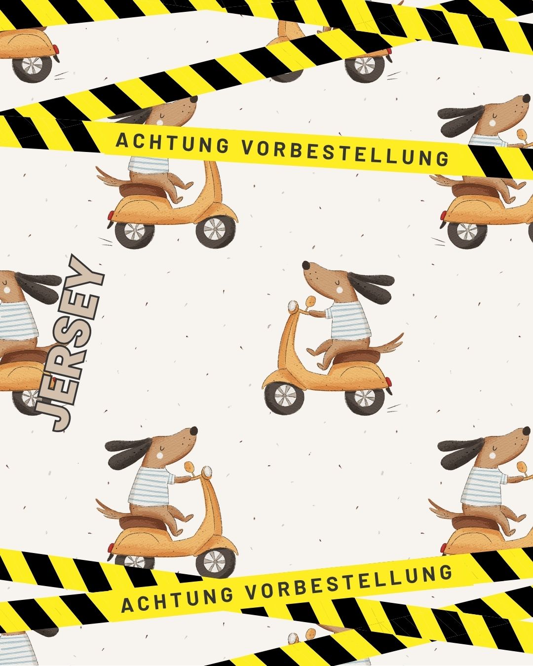 Bio Jersey - Rudi Roller