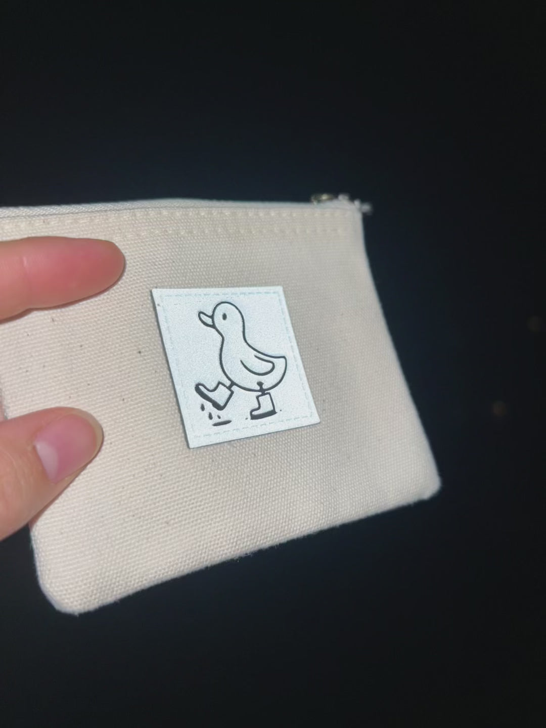 Video zeigt wie sehr die Ente reflektiert